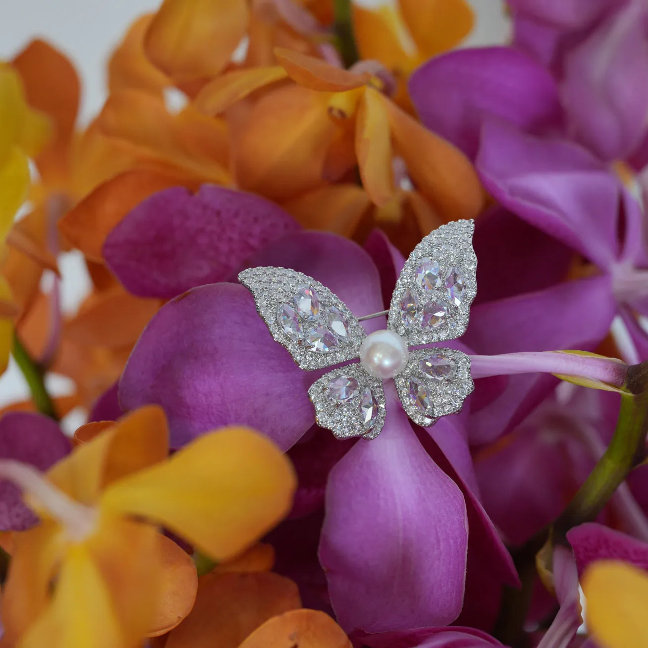 Elegant Freshwater Pearl Butterfly Brooch WC00068 | GARDENS