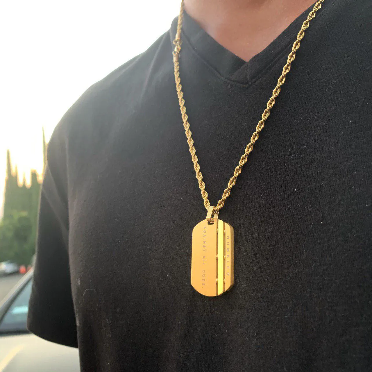 'Veni Vidi Vici' Dog Tag ( Gold )